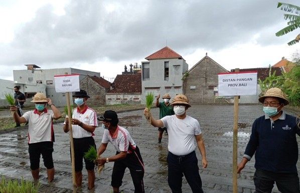 podiumnews.com-Adi Arnawa: Pertanian Terbukti Mampu Bertahan Saat Masa Pandemi